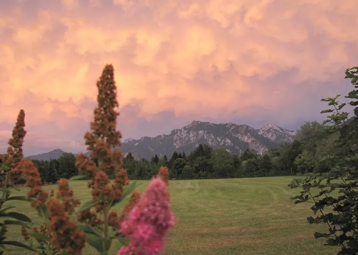 Herzstueck Im Haus Schlossblick Lägenhet *