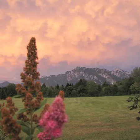 Herzstueck Im Haus Schlossblick Apartment *